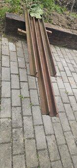 Jednolistý katr jednuška - 7