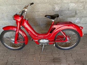 Jawetta 551 - 7