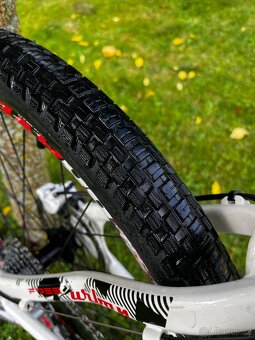 Dirtparade dragstar 16” - 7