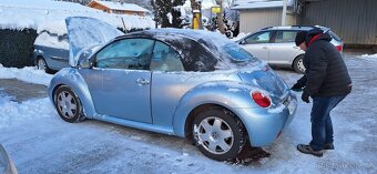 VW New Beetle - 7