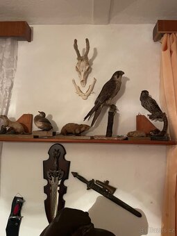 Sklo porcelán atd. - 7