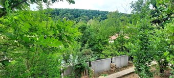 Prodej chaty, 32 m2, k.ú. Kounické Předměstí - Ivančice - 7