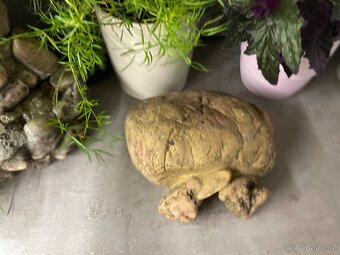 Vodopád, Ukryt, Miska - Terarijní potřeby - 7