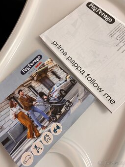 Dětská židlička Peg Perego Prima Pappa - 7