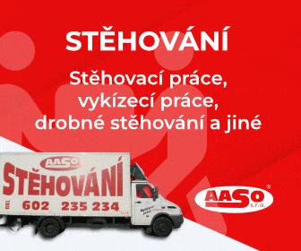 NAKLADNI a MINIBUS TAXI - Praha - 7