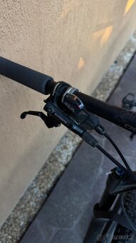 Pells  Duke Race - 7