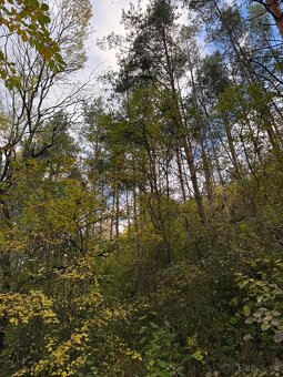 Prodej lesních pozemků v k.ú. Úlovice - 7