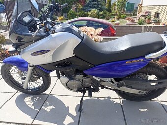 SUZUKI XF 650 - 7