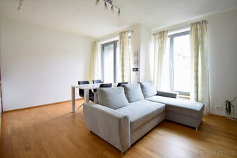 Pronájem bytu 2+kk, Klatovská, Ponava, 55 m2 - 7