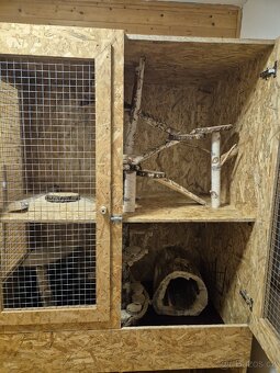 Klec pro činčily, osmáky (hlodavce) - 7