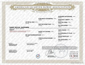 QH valach po AP Royal Bar - 7
