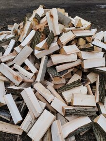 Palivové dřevo +rizikové kácení stromů - 7