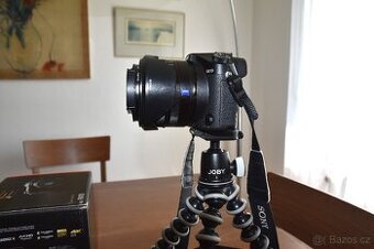 SONY DSC-RX10 - 7