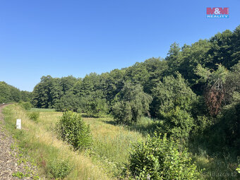 Prodej louky, 5874 m², Bakov nad Jizerou - Malý Rečkov - 7