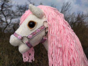 Hobby horse - 7