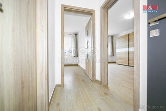 Pronájem bytu 2+kk, 45 m², Dnešice - 7