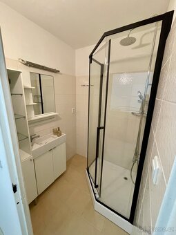 Částečně zařízený byt 2+kk / Kralupy nad Vltavou-Lobeček - 7