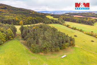 Prodej lesa, 39171 m², Ježovy - 7