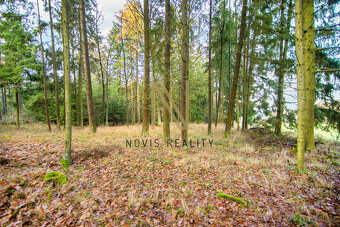 Prodej, les, 7475 m², Chudenice, Chudenický Žďár - 7