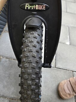 Firstbike Fat - 7