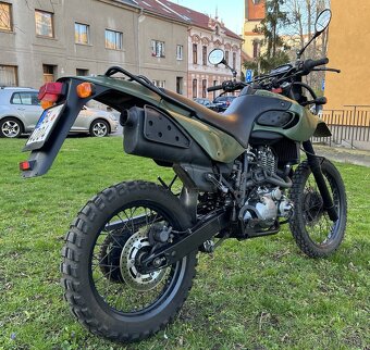 MuZ Baghira 660 E Forrest - 7