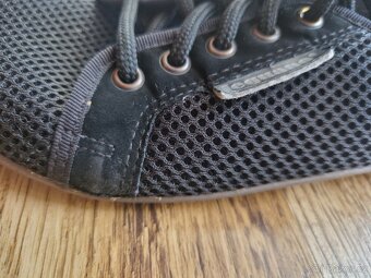 Barefoot Leguano, 38, cerne - 7