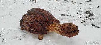 Dřevěný masivní samorost-želva. - 7