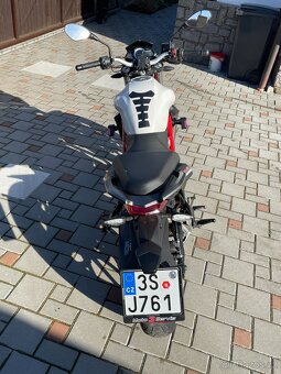 Prodám Benelli BN 302, r.v. 2017 - 7