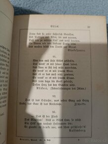 Pharus am meere děs lebens 1870 vydáno - 7
