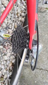 CINELLI - 7