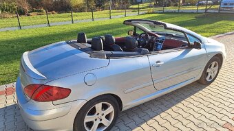 Peugot 307 cc - 7