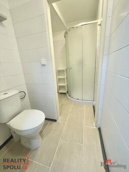 Pronájem, byty/2+1, 55 m2, Drahoňovského 810/1, Řepy, 16300 - 7