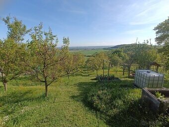 Žitenice - zahrada - 7