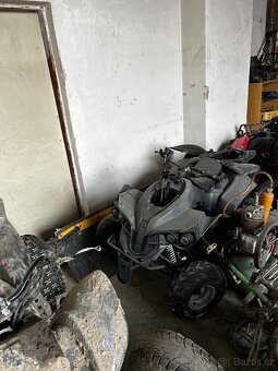 650 Campell Bashan 250 - 7