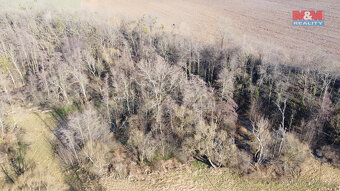 Prodej lesa, 4916 m², Neplachovice - 7