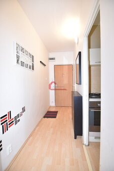 Pronájem, byt 2+1 Hodonín, ulice Brandlova, s lodžií, vybave - 7