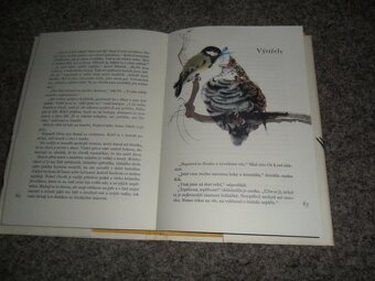 Čapek Pohádky, O letadélku káněti, Rybaříci na Modré zátoce - 7