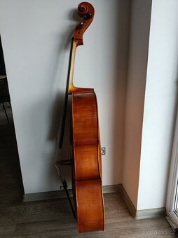 Violoncello 4/4 - 7