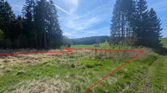 Pozemek na tinyhouse maringotku Starec u Kdyně LEVNĚ - 7