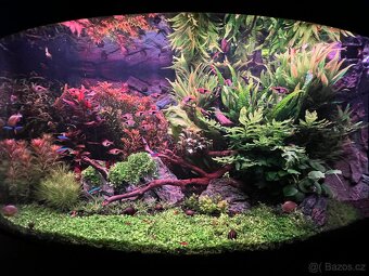 Prodám komplet Juwel Vision 180l. - 7