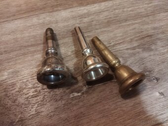 Baskřídlovka - tenor - 7