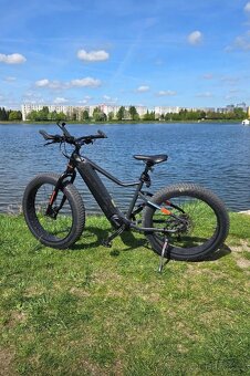 Leader Fox Braga Fatbike - 7