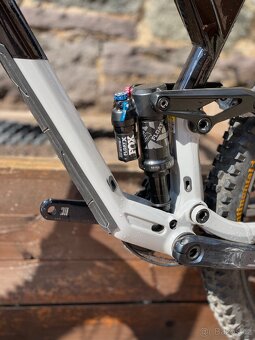 Ranodon slide 9.0 - 7