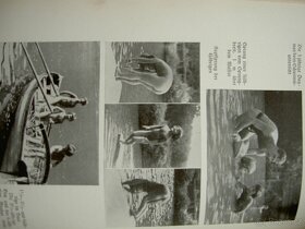 Prof.Dr. LOTHAR GOTTLIEB TIRALA SPORT a RASA 1936 - 7