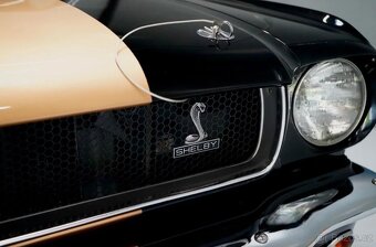 1966 Mustang Fastback Hertz Shelby 350 Clone - 7