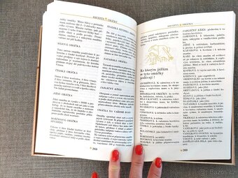 Kniha - Muž v zástěře 600 receptů – JAKO NOVÁ - 7