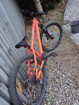 Kellys whip 10 - 7