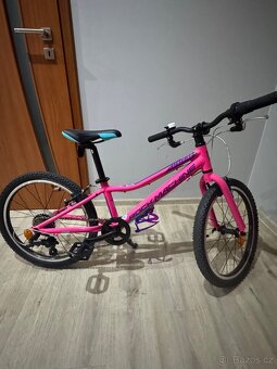 Kolo rockmachine 20’ - 7