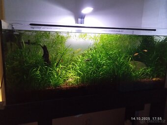 Prodám akvárium 160 l - 7