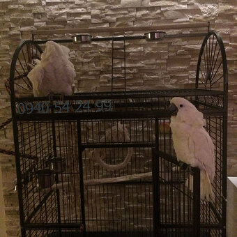 Klec pro ptáky - voliéra XXL - 7